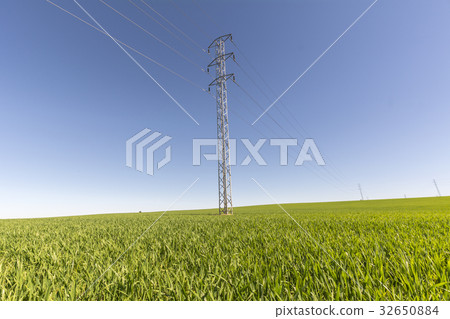 Electric tower in green field 32650884