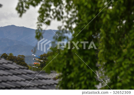 Misonasaka Akebonotei early blooming cherry blossoms Misonasaka Akebonotei early blooming cherry blossoms 32652309