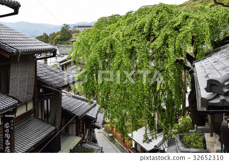 Misonasaka Akebonotei早櫻花盛開 32652310