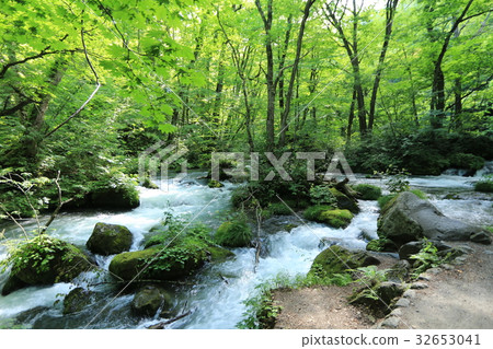 Oirase stream of summer Oirase stream of summer 32653041