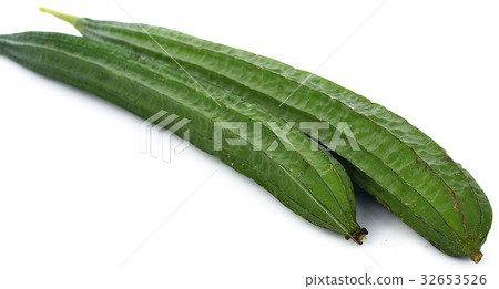 Fresh Angled loofah 32653526