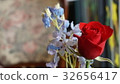 A red rose 32656417