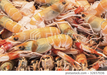 Mantis Shrimp in seafood market 32657036