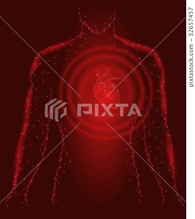 Man silhouette healthy heart beats 3d medicine 32657457