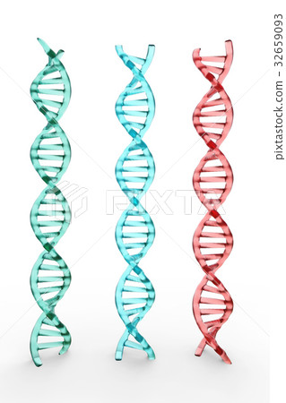 three dna structures on white background 32659093