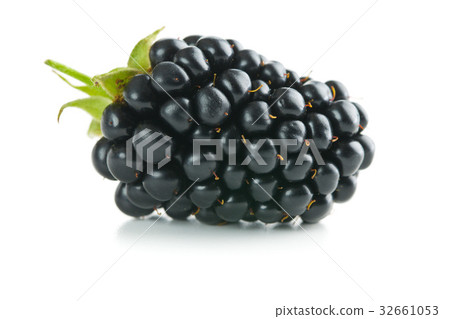 Tasty ripe blackberry. Tasty ripe blackberry. 32661053
