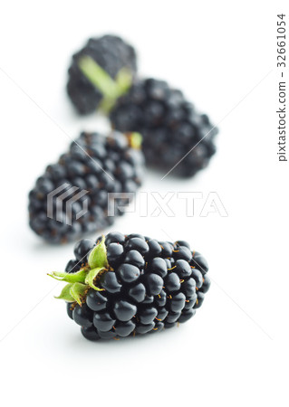 Tasty ripe blackberry. Tasty ripe blackberry. 32661054