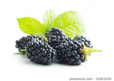 Tasty ripe blackberry. Tasty ripe blackberry. 32661056