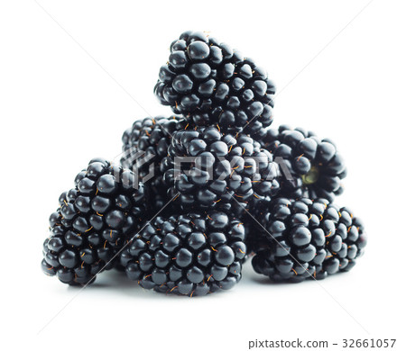 Tasty ripe blackberry. 32661057