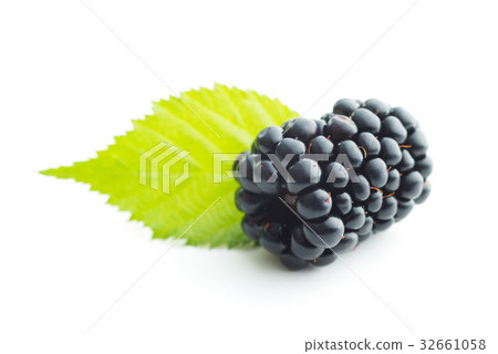 Tasty ripe blackberry. Tasty ripe blackberry. 32661058