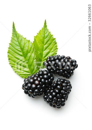 Tasty ripe blackberry. Tasty ripe blackberry. 32661063