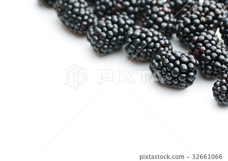 Tasty ripe blackberries. Tasty ripe blackberries. 32661066