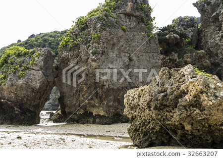 Strange rock stone of Hamahigajima 32663207