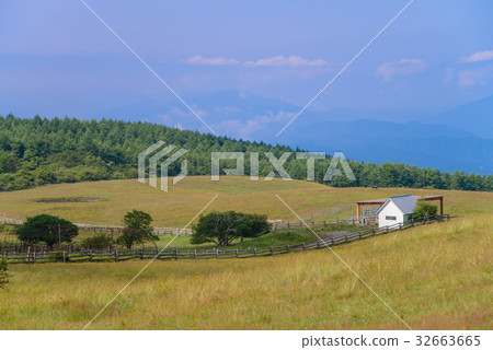 [Nagano Prefecture] Ranch in the High Bocchi Plateau in summer 32663665