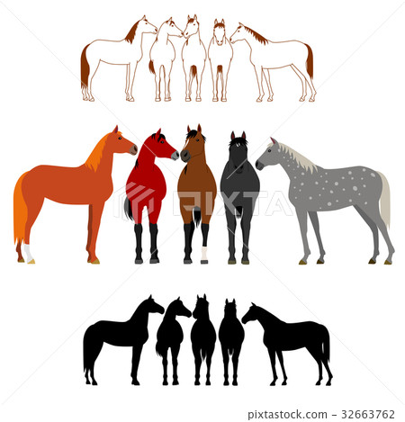 Horse group whole body set 32663762
