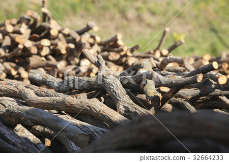 紀州賓喬木炭 32664233