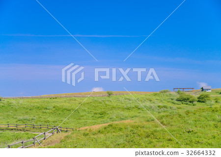 [Nagano Prefecture] Summer high-botch plateau, grass racecourse 32664332