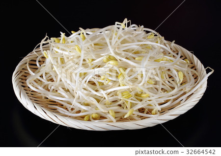 Bean sprouts Bean sprouts 32664542