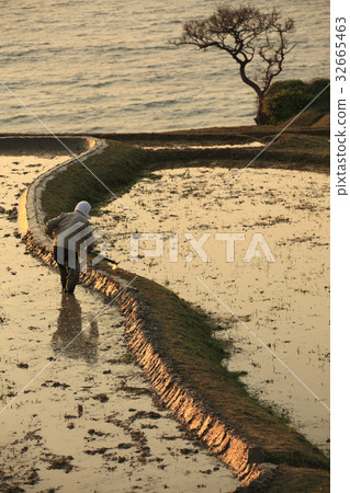 Wajima白米Senjita日落 32665463