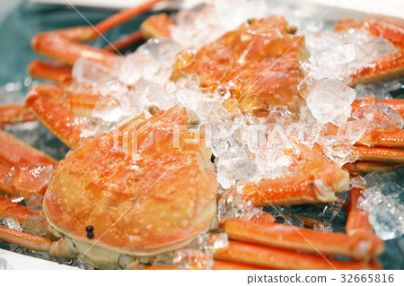 Snow crab 32665816