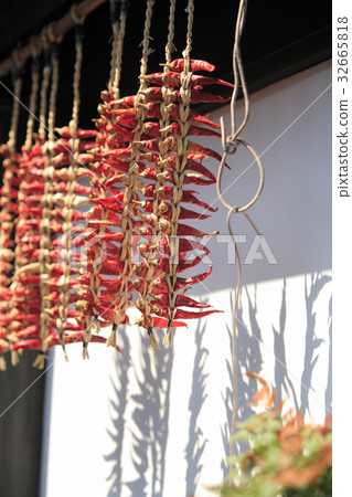 紅辣椒秸稈噓幹 32665818