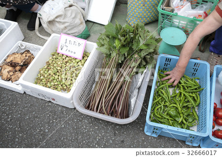 Morning market vegetables 32666017