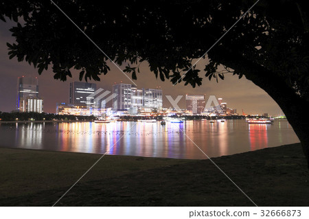 台場海灘公園夜景 台場海灘公園夜景 32666873