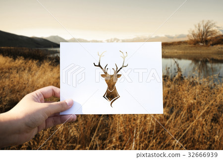 Wild life animal perforated paper moose 32666939