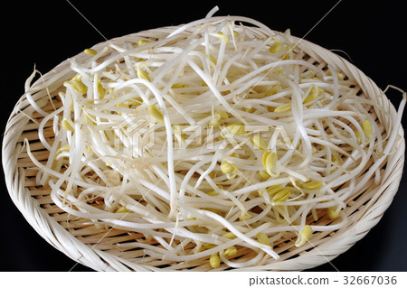 Bean sprouts Bean sprouts 32667036