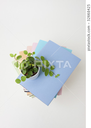 堆書和葉子植物 32668425