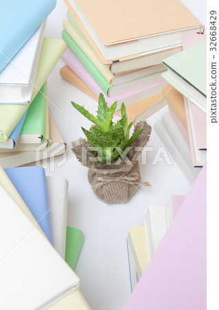 堆書和葉子植物 32668429