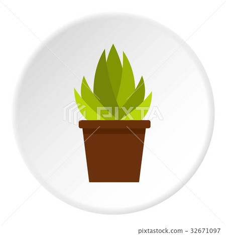 Cactus with flowers icon circle Cactus with flowers icon circle 32671097