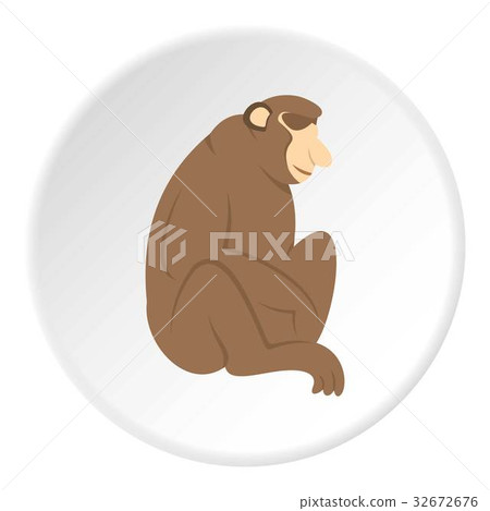 Orangutan monkey icon circle Orangutan monkey icon circle 32672676