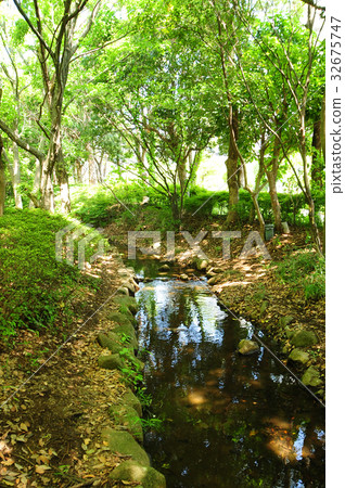 茅崎中央公園夏季 32675747