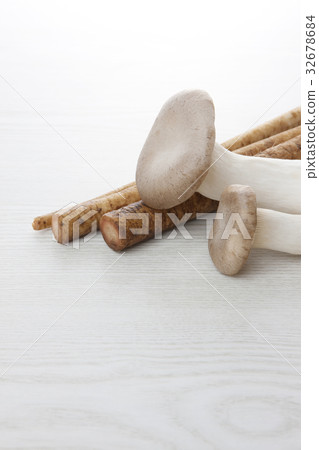 Burdock and Ellinghi 32678684