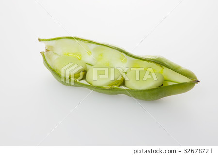 蠶豆 32678721
