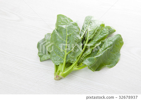 鶴村崎 鶴村崎 32678937