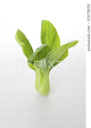 白菜 32679039