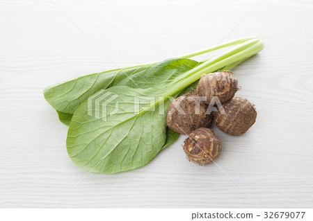 Komatsuna和芋頭 Komatsuna和芋頭 32679077