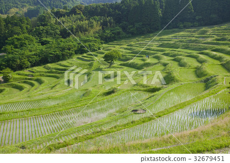 Oyama Senjita Oyama Senjita 32679451