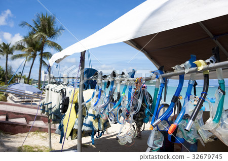 Snorkelling 32679745