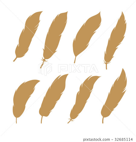 bird feathers. Vector. Set collection bird feathers. Vector. Set collection 32685114