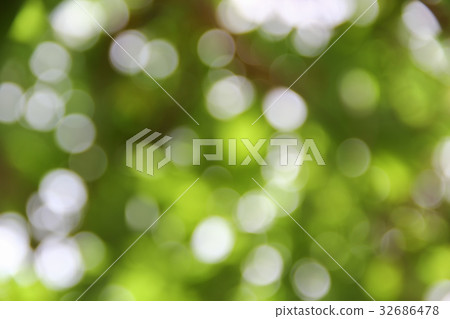 Bokeh nature color background leaf of the tree Bokeh nature color background leaf of the tree 32686478