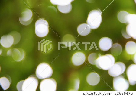 Bokeh nature color background leaf of the tree Bokeh nature color background leaf of the tree 32686479