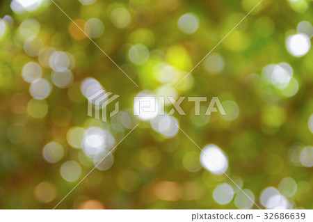 Bokeh nature color background leaf of the tree  32686639