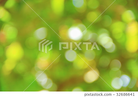 Bokeh nature color background leaf of the tree Bokeh nature color background leaf of the tree 32686641