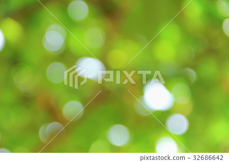 Bokeh nature color background leaf of the tree Bokeh nature color background leaf of the tree 32686642