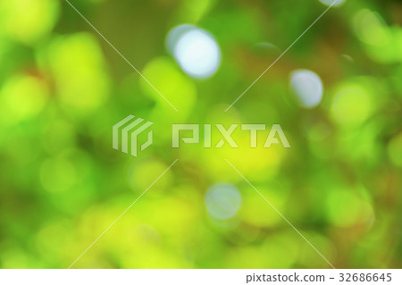 Bokeh nature color background leaf of the tree Bokeh nature color background leaf of the tree 32686645