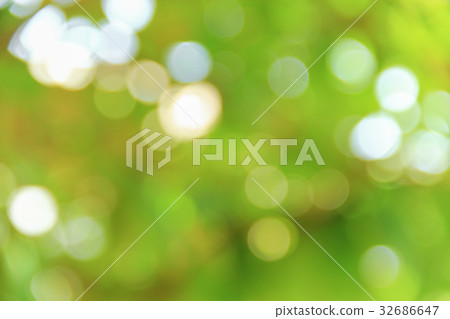 Bokeh nature color background leaf of the tree Bokeh nature color background leaf of the tree 32686647