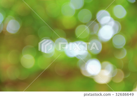 Bokeh nature color background leaf of the tree  32686649